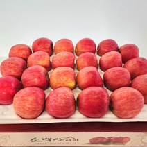 산지직송 당도보장 소백산 고랭지 영주 사과 홍로 정품(9월 24일 오전9시 주문건까지 추석전에 받을 수 있습니다.), 1박스, 소백산 홍로 소과 5kg