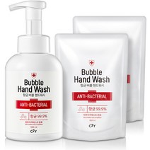 C2Y 대용량 항균 버블 핸드워시 손세정제 500ml+리필용, 본품500ml+리필용2개