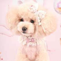 팝앤퍼피 셔링케이프+헤어핀세트, S, 핑크