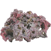 Caribsea 암석 선반 18.1kg(40파운드) 664405