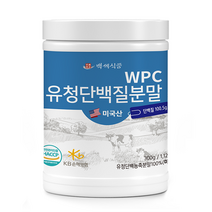 WPC 유청단백질 분말 300g 미국산100% HACCP 인증제품, 2통