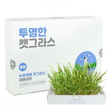 제이네이처 투명한 수경재배 캣그라스 재배세트(중형), 단품