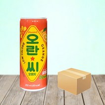 동아오츠카 오란씨 오렌지 250ml X 30캔, 30개