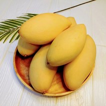 (항공직송) 태국 남독마이 골드망고 5kg 10~14과, 단품
