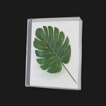 (신) 아크릴액자(약20x25x4cm/공간높이 약2.5cm) / 관액자 / 입체 공간 액자 / 프리져브드 액자