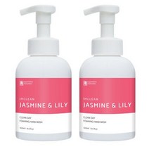 아임클린 클린데이 거품형 핸드워시 자스민 앤 릴리, 2개, 500ml