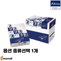 레이저 프린터용 A4 A3 복사 에이포 용지 100g 135g 160g 90g 미색 유광 백색 종류선택 1개, A3 유광 200g 1000매