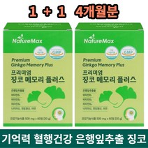 은행잎추출물 플라보놀배당체 비타민B 아연 기억력개선 혈행개선 집중력개선 인지력개선 혈관확장 4개월분 징코 끈적한혈액개선 공시생 수험생 50대 두뇌영양제 부모님 선물추천