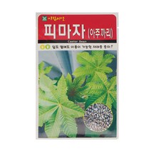 피마자(아주까리)씨앗 50립, 29_피마자(50립)