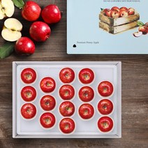 청년연구소 [청년연구소][선물세트] 청송 꿀땡이 사과 5kg 15-17과(중과), 1