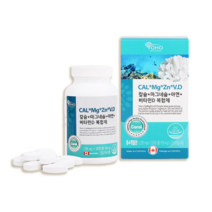산호 산화 마그네슘 비타민D 120정 4개월 칼마아디 코랄 칼슘제 복합제 선물, 단품
