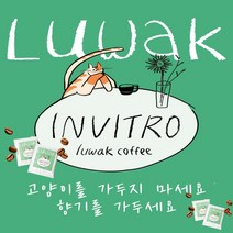 [당일 로스팅 당일 출고] 인비트로 루왁 사향고양이 저카페인 발효커피 (원두 드립백), 500g 원두(분쇄도:굵은 분쇄)