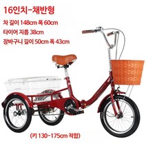 성인 세발자전거 어르신 노인 자전거 효도 선물, 단일사이즈, C