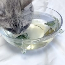 팜웨이 마따따비 티백 고양이가 좋아하는 냄새 우울증 스트레스 해소 개다래나무, 마따따비티백