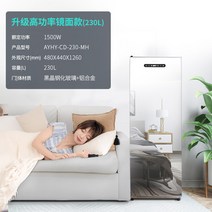 의류관리기 옷드라이 가정용 전자동 건조기 스마트 미러 스팀 주름 제거 의류 관리 기계 소독 및 살균, 7. 230L 거울 속건성 삼중살균