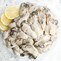 산지직송 통영 제철 생굴 1kg, 없음