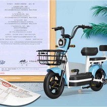 어르신전동차 삼륜 노인 바이크 전동 스쿠터 관부가세포함, R