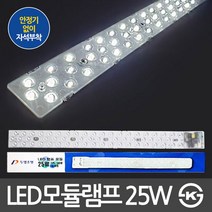 두영 LED 자석타입 모듈램프 25W, 화이트(램프), 주광색(광원색)