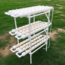 가정용수경재배채소식물 유기농야채쌈채소사계절채소