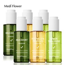 [KT알파쇼핑][1+1]메디플라워 대용량 유산균 앰플 50ml 3종 (사철쑥/청귤/비폴렌), [1+1]유산균 비폴렌 프로폴리스 앰플 50ml