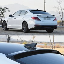 온지구 제네시스 G70 루프스포일러 검정 T5K