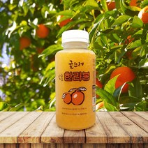 제주 한라봉 귤뜨레 착즙주스 100% 과일원액 240ml 7개입
