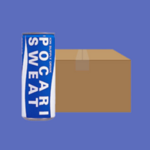 포카리스웨트 수분충전 스포츠 음료 240ml x 30CAN, 포카리스웨트 240ml x 30CAN