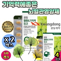 기억력에좋은 뇌혈관영양제 집중력개선 시니어비타민 Ginko Biloba 다리 하체 혈액순환 기억력영양제추천 뇌피로회복제 기억력개선 정맥순환제 메모리 미니 x2박스 기획세트