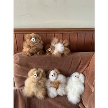 페루산 알파카 테디베어 곰인형, 15cm~17cm, 베이지