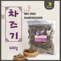 국산 차즈기 말린 건조 차조기 자소엽 잎 차 붉은깻잎 워터 티 물 재료 추출물 눈엔, 차즈기_1개, 300g
