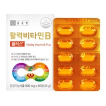 활력필요 종근당건강 플러스 활력비타민B, 2박스 x (800mg x 60정)/4개월분