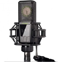 르윗 LCT540 대형 다이어프램 스튜디오 콘덴서 마이크, Microphone