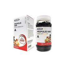 마더네스트 프로폴리스 5000mg 250캡슐
