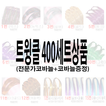 가발위드 트윙클 붙임머리 400가닥 (세트 상품), 1세트, 2종R제품