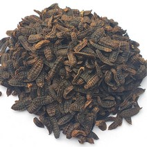 [대용량] 동애등에 건조품 5kg