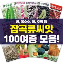 각종 박과류 씨앗 모음 콩 완두콩 옥수수 깨 호박 곡물 채소 씨 종자, 39-백광찰옥수수150립