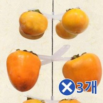 화이트 곶감걸이 4개걸이 25개x3개 곶감세트 꽂감걸이감건조기 감걸이 감꽂이 감말리기 감말리는도구 곳감걸이 곳감행거 곶감건조 곶감건조걸이 곶감건조기 곶감건조대 곶감걸이 곶감고정핀 곶감꼬지 곶감꽂이 곶감만드는방법 곶감만드는법 곶감만들기 곶감말랭이 곶감말리기 곶감말리는 곶, 본상품
