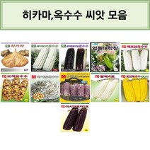 코리아팜 히카마 옥수수 씨앗/히카마/해피찰3호옥수수/블랙베리찰옥수수/얼룩대학찰/백초당옥수수/오색옥수수/케이팝옥수수/후아차이12 자흑찰옥수수/찰옥4호옥수수/초당옥수수VSC03, 11.아시아종묘-아시아흑마1호 30g