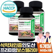 유향나무 진액 덩어리 보스웰리아 보수엘리아 약 6달