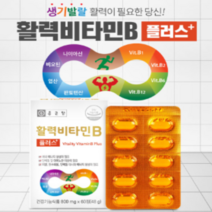 비타민 비군 2개월분 종근당 고함량비타민B B군 영양제 B12 효능, 닥터닥터스 멀티비타민미네랄 2개월분