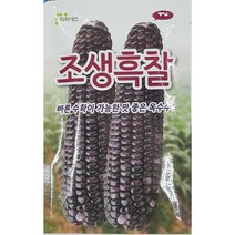 조생흑찰옥수수 씨앗250립/부드럽고 찰성 좋은 찰옥수수//가람종묘사, 1개