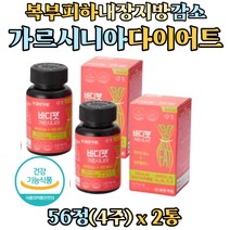 과체중 남자 여성 탄수화물 대사 에너지 생성 레몬밤 비타민비 가르시니아 HCA 다이어트 보조제 망고씨앗 히알루론산 가르니시아 피하지방 내장지방 복부지방 뱃살 빼기 체지방 컷팅제