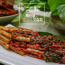 종말이푸드 종말이 갓김치 여수 돌산 1kg 3kg 5kg 곽진영갓김치, 1개