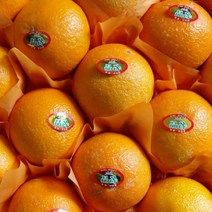 [초록이네] 제주황금향 제주도황금향 산지직송, 선물용 5kg, 1개