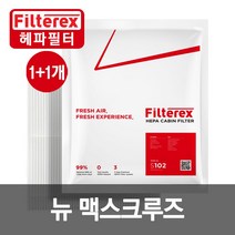1+1 필터렉스 PM0.3 헤파 뉴맥스크루즈 차량용 에어컨필터, 현대, 2개-뉴맥스크루즈 15~19(S101)