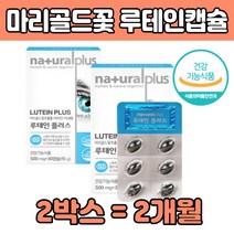 lutein 루 테인 대인 결명자추출물 비타민A 건강식품 헛개나무열매 마리 메리 골드꽃 블루베리 누 데인 테린 테민 류 뉴 비타민 B2 B6 B12 헤마토코쿠스 엽산 식약처인증 추천 캡슐