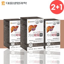 대웅생명과학 간 간장 파워 밀크씨슬 영양제 약3개월분