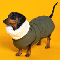 엔젤도그 강아지 패딩 현미팩 발열 겨울옷, 베이지