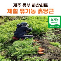 산지직송 국내산 제주 흙당근 햇당근 3kg 5kg 10kg, 특상혼합