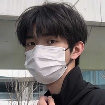 남자짧은가발 남성용 군인 가발 휴가 남성, 상세 페이지 참고, 다크브라운 + 헤어네트 + 케어솔루션
